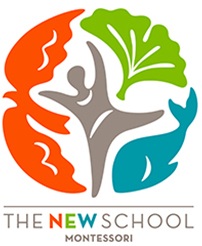 New School Sch