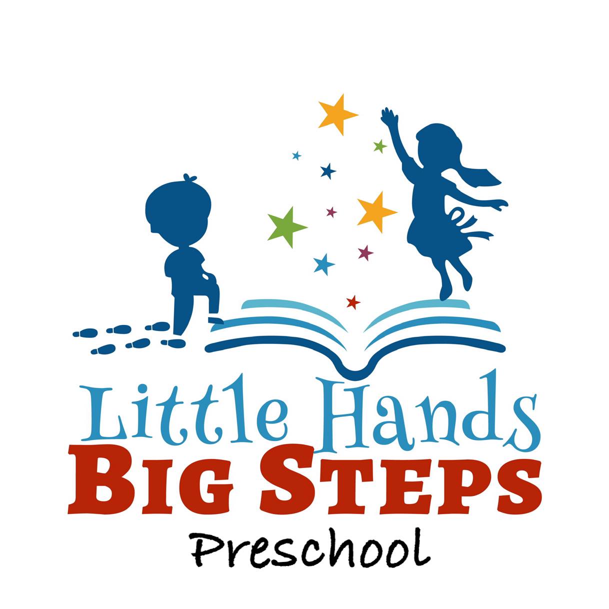 Little Hands Big Steps LLC