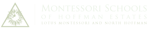 MONTESSORI ACADEMY OF NORTH HOFFMAN